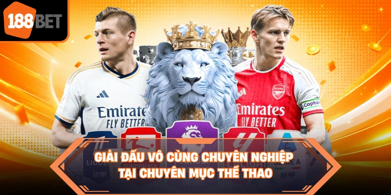 Giải đấu vô cùng chuyên nghiệp tại chuyên mục thể thao